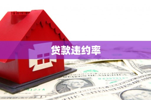 颍泉贷款违约率