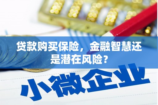 颍泉贷款购买保险，金融智慧还是潜在风险？