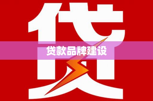 颍泉贷款品牌建设