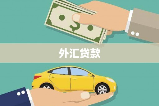 颍泉外汇贷款