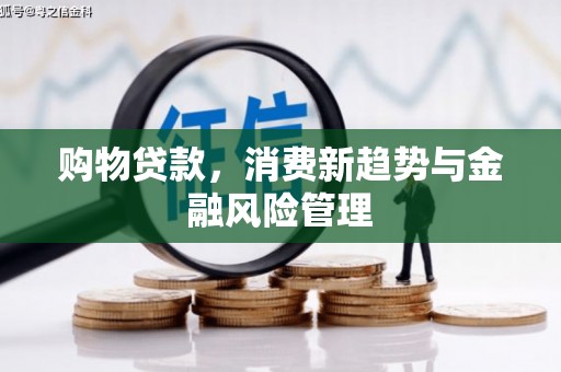 颍泉购物贷款，消费新趋势与金融风险管理