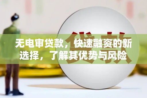 颍泉无电审贷款，快速融资的新选择，了解其优势与风险