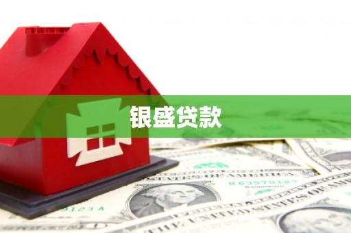 颍泉银盛贷款
