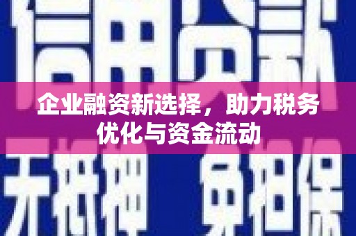 颍泉企业融资新选择，助力税务优化与资金流动