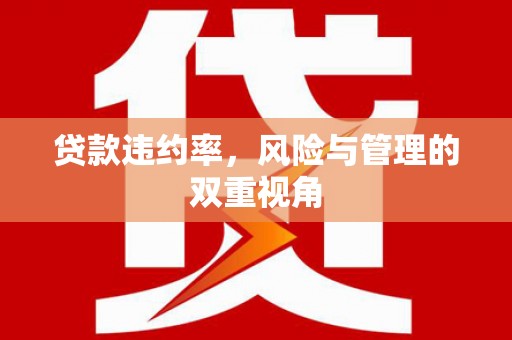 颍泉贷款违约率，风险与管理的双重视角