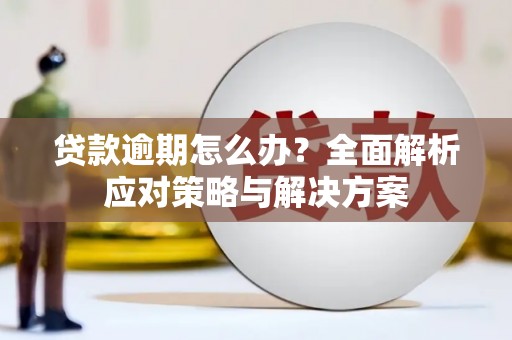 颍泉贷款逾期怎么办？全面解析应对策略与解决方案