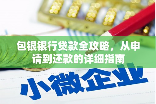 颍泉包银银行贷款全攻略，从申请到还款的详细指南