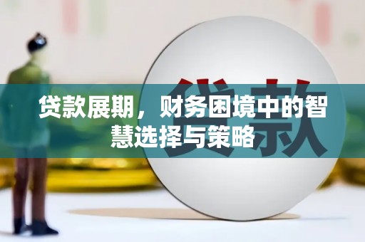 颍泉贷款展期，财务困境中的智慧选择与策略