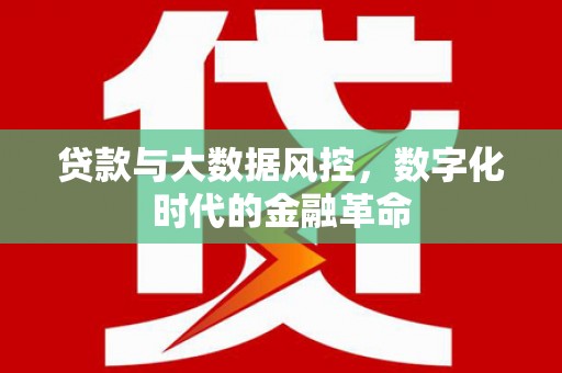颍泉贷款与大数据风控，数字化时代的金融革命