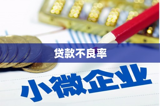 颍泉贷款不良率