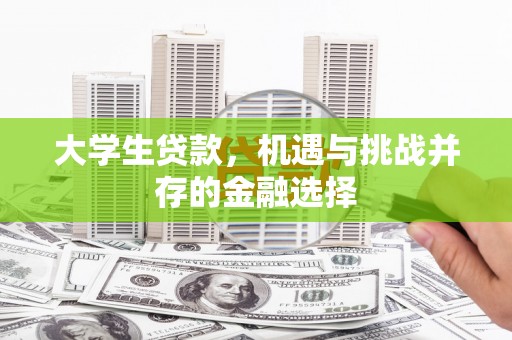 颍泉大学生贷款，机遇与挑战并存的金融选择