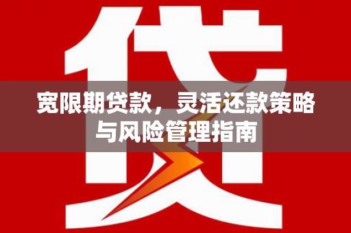 颍泉宽限期贷款，灵活还款策略与风险管理指南