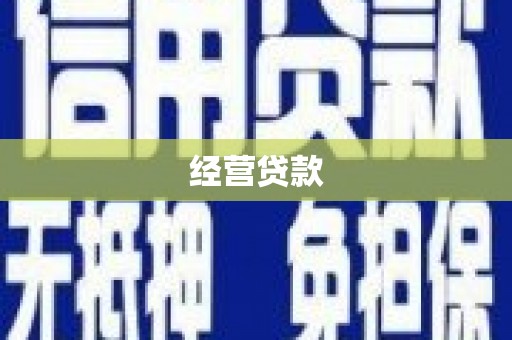 颍泉经营贷款