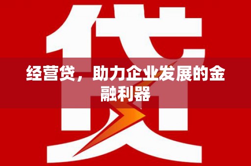 颍泉经营贷，助力企业发展的金融利器