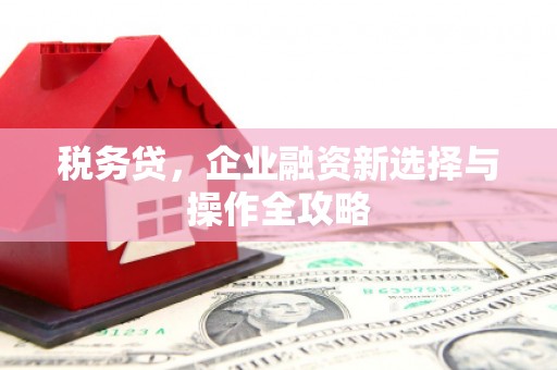 颍泉税务贷，企业融资新选择与操作全攻略