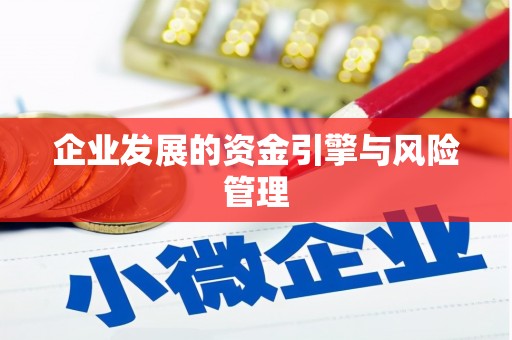 颍泉企业发展的资金引擎与风险管理