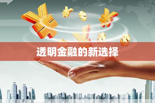 颍泉透明金融的新选择