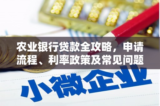 颍泉农业银行贷款全攻略，申请流程、利率政策及常见问题解析