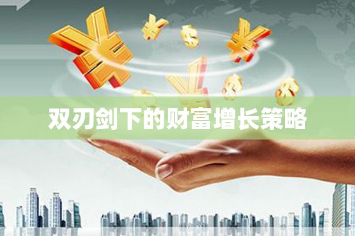 颍泉双刃剑下的财富增长策略
