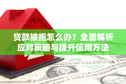 颍泉贷款被拒怎么办？全面解析应对策略与提升信用方法