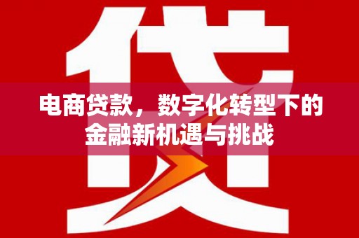 颍泉电商贷款，数字化转型下的金融新机遇与挑战