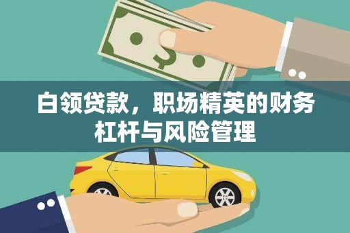 颍泉白领贷款，职场精英的财务杠杆与风险管理