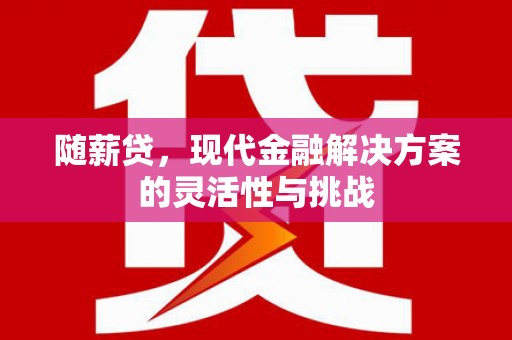 颍泉随薪贷，现代金融解决方案的灵活性与挑战