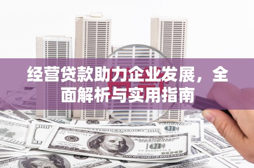 颍泉经营贷款助力企业发展，全面解析与实用指南