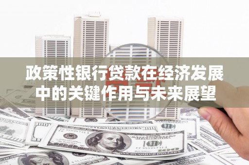 颍泉政策性银行贷款在经济发展中的关键作用与未来展望