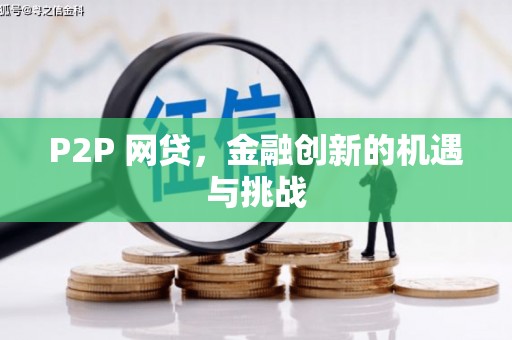 颍泉P2P 网贷，金融创新的机遇与挑战