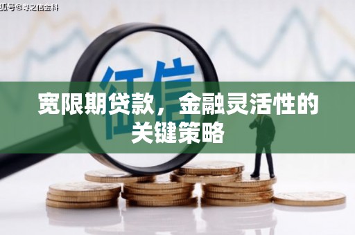 颍泉宽限期贷款，金融灵活性的关键策略