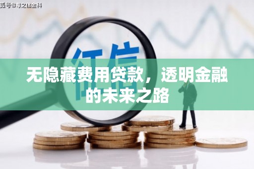 颍泉无隐藏费用贷款，透明金融的未来之路