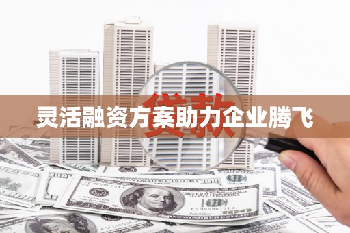 颍泉灵活融资方案助力企业腾飞