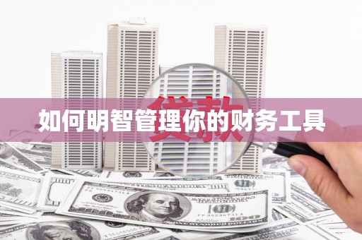 颍泉如何明智管理你的财务工具
