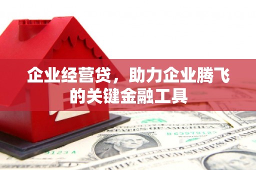 颍泉企业经营贷，助力企业腾飞的关键金融工具