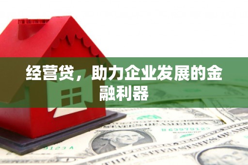 颍泉经营贷，助力企业发展的金融利器