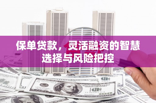 颍泉保单贷款，灵活融资的智慧选择与风险把控