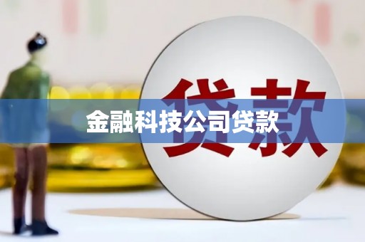 颍泉金融科技公司贷款