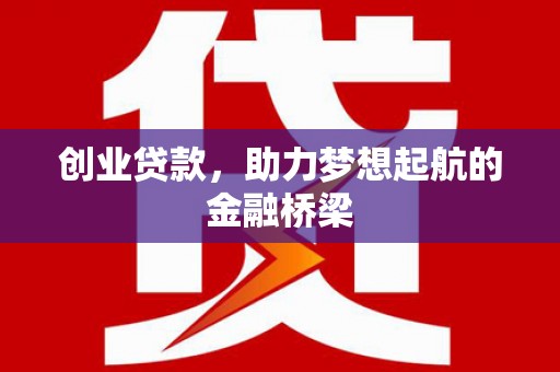 颍泉创业贷款，助力梦想起航的金融桥梁