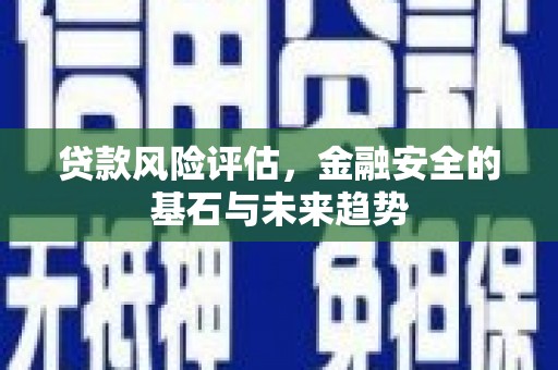 颍泉贷款风险评估，金融安全的基石与未来趋势