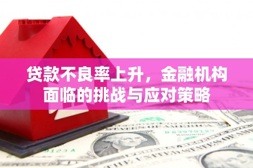 颍泉贷款不良率上升，金融机构面临的挑战与应对策略