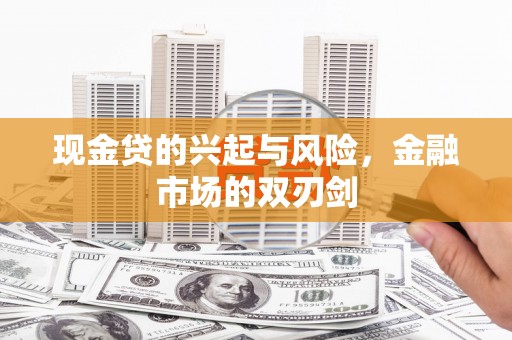 颍泉现金贷的兴起与风险，金融市场的双刃剑