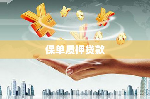颍泉保单质押贷款