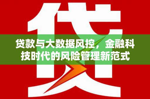 颍泉贷款与大数据风控，金融科技时代的风险管理新范式