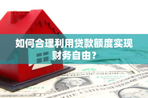 颍泉如何合理利用贷款额度实现财务自由？