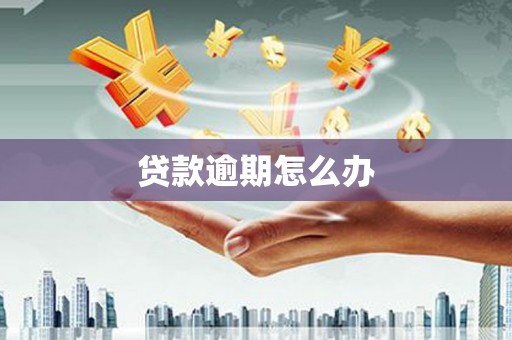 颍泉贷款逾期怎么办