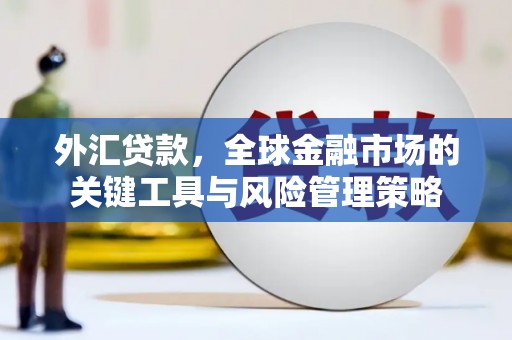 颍泉外汇贷款，全球金融市场的关键工具与风险管理策略