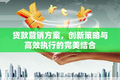 颍泉贷款营销方案，创新策略与高效执行的完美结合