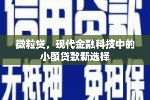 颍泉微粒贷，现代金融科技中的小额贷款新选择