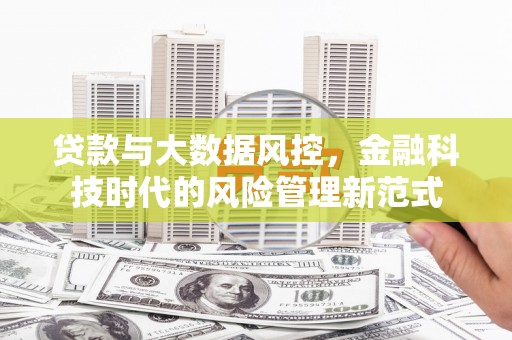 颍泉贷款与大数据风控，金融科技时代的风险管理新范式